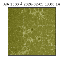 saia - 2026-02-05T13:00:14.130000