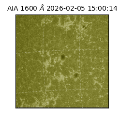 saia - 2026-02-05T15:00:14.125000