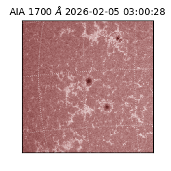 saia - 2026-02-05T03:00:28.720000