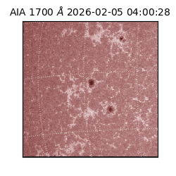 saia - 2026-02-05T04:00:28.709000