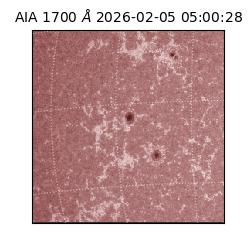 saia - 2026-02-05T05:00:28.709000