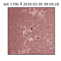 saia - 2026-02-05T09:00:28.709000