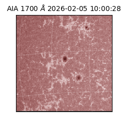 saia - 2026-02-05T10:00:28.709000