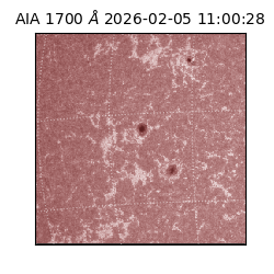 saia - 2026-02-05T11:00:28.710000