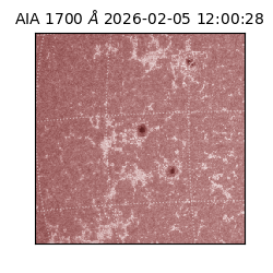 saia - 2026-02-05T12:00:28.737000