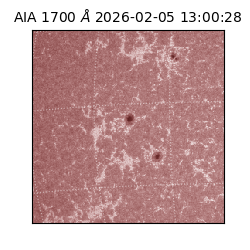 saia - 2026-02-05T13:00:28.717000