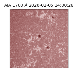 saia - 2026-02-05T14:00:28.710000