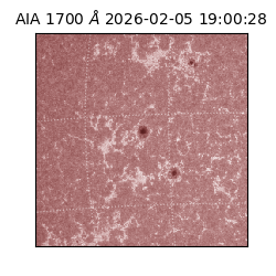 saia - 2026-02-05T19:00:28.710000