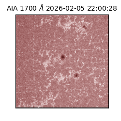 saia - 2026-02-05T22:00:28.718000