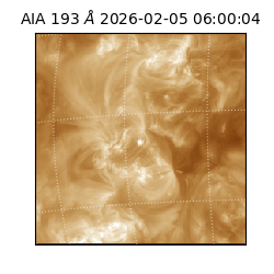 saia - 2026-02-05T06:00:04.843000