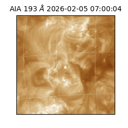 saia - 2026-02-05T07:00:04.843000