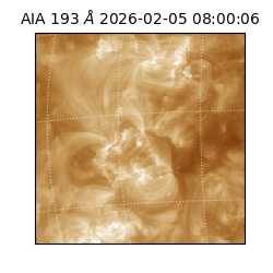 saia - 2026-02-05T08:00:06.800000