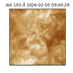 saia - 2026-02-05T09:00:29.619000