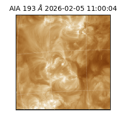 saia - 2026-02-05T11:00:04.843000