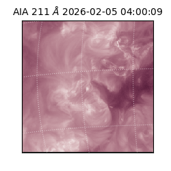 saia - 2026-02-05T04:00:09.633000