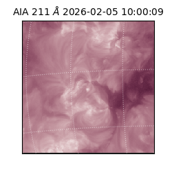 saia - 2026-02-05T10:00:09.630000