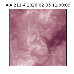 saia - 2026-02-05T11:00:09.631000