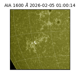 saia - 2026-02-05T01:00:14.118000