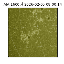 saia - 2026-02-05T08:00:14.125000