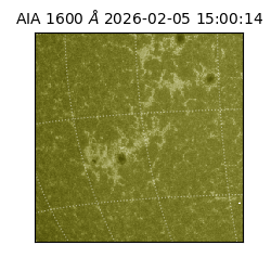 saia - 2026-02-05T15:00:14.125000