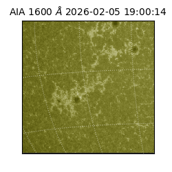 saia - 2026-02-05T19:00:14.133000