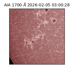 saia - 2026-02-05T03:00:28.720000