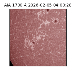 saia - 2026-02-05T04:00:28.709000