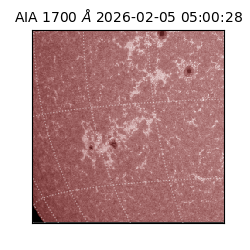 saia - 2026-02-05T05:00:28.709000