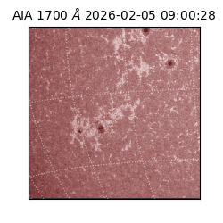 saia - 2026-02-05T09:00:28.709000