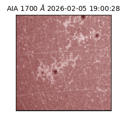 saia - 2026-02-05T19:00:28.710000