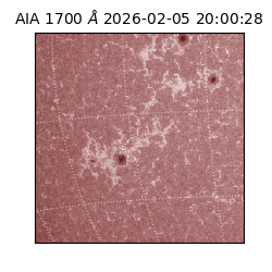 saia - 2026-02-05T20:00:28.710000