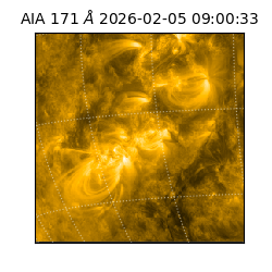 saia - 2026-02-05T09:00:33.342000