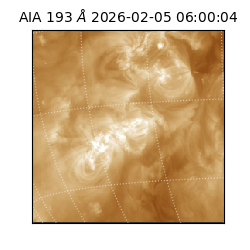 saia - 2026-02-05T06:00:04.843000