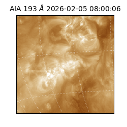 saia - 2026-02-05T08:00:06.800000