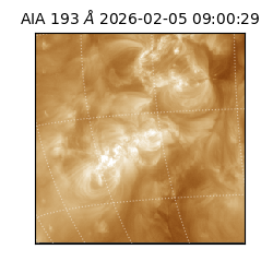 saia - 2026-02-05T09:00:29.619000