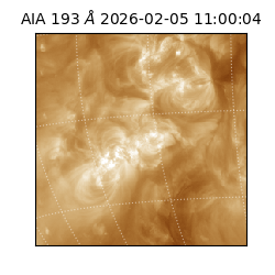 saia - 2026-02-05T11:00:04.843000