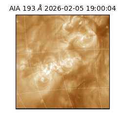 saia - 2026-02-05T19:00:04.843000