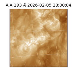 saia - 2026-02-05T23:00:04.843000