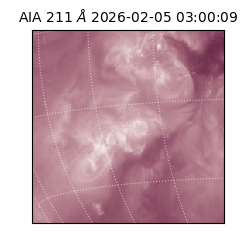 saia - 2026-02-05T03:00:09.640000