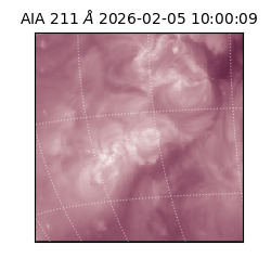 saia - 2026-02-05T10:00:09.630000