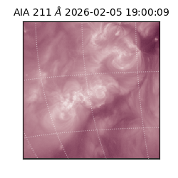 saia - 2026-02-05T19:00:09.626000