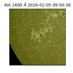 saia - 2026-02-05T09:00:38.121000