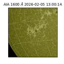 saia - 2026-02-05T13:00:14.130000