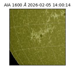 saia - 2026-02-05T14:00:14.118000