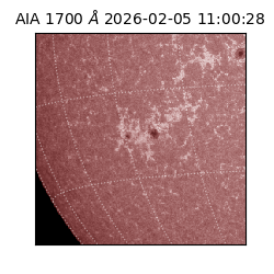 saia - 2026-02-05T11:00:28.710000