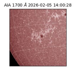 saia - 2026-02-05T14:00:28.710000