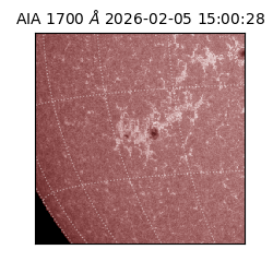 saia - 2026-02-05T15:00:28.719000