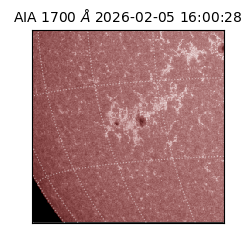 saia - 2026-02-05T16:00:28.717000