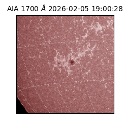 saia - 2026-02-05T19:00:28.710000