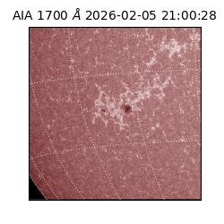 saia - 2026-02-05T21:00:28.718000